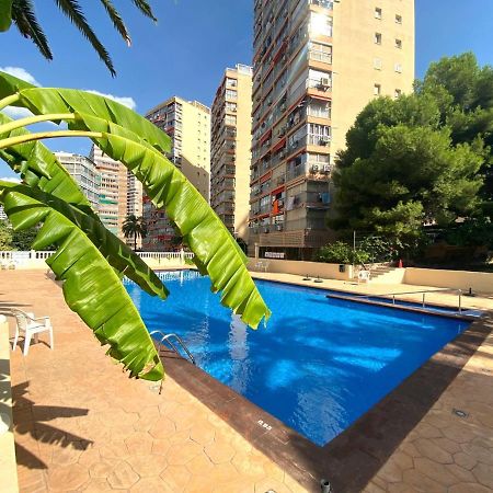 Don Miguel I-2 Leilighet Benidorm Eksteriør bilde