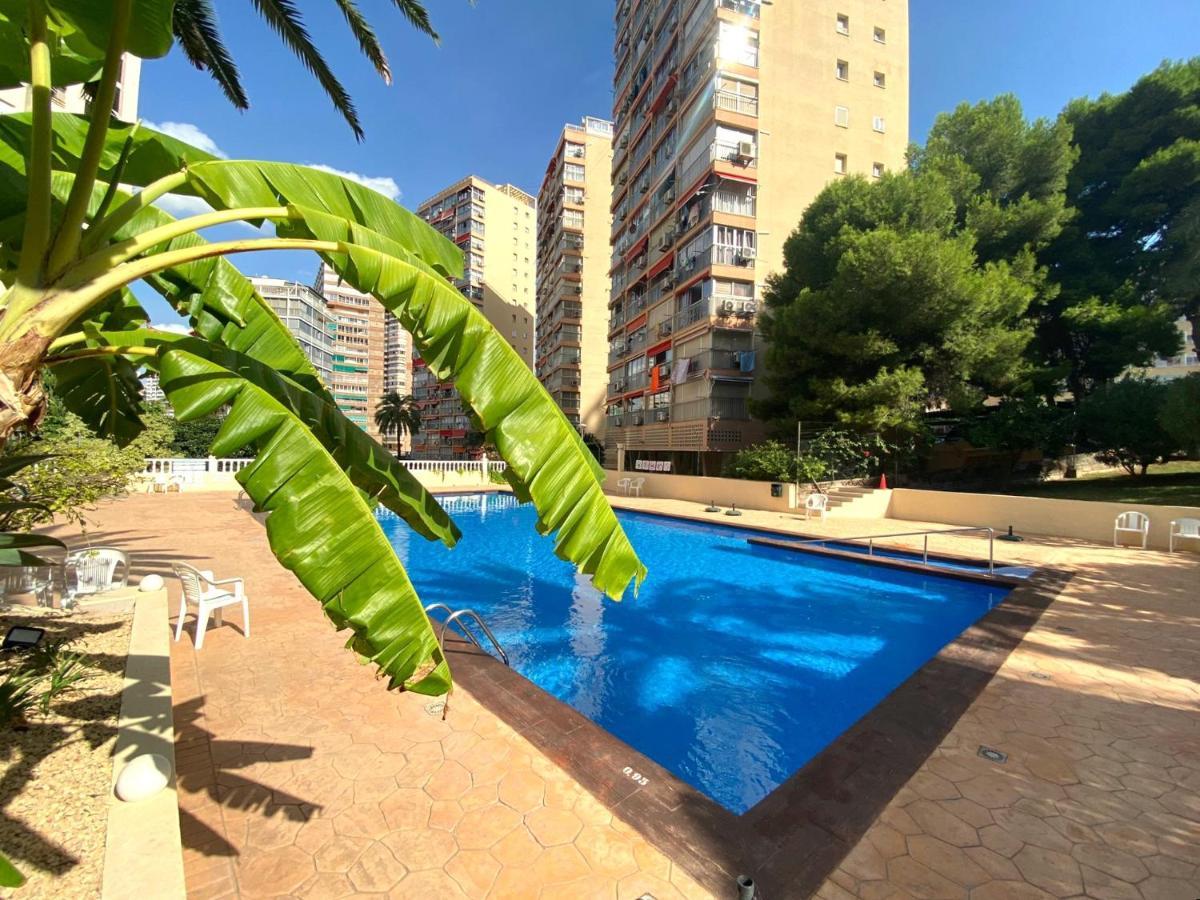 Don Miguel I-2 Leilighet Benidorm Eksteriør bilde